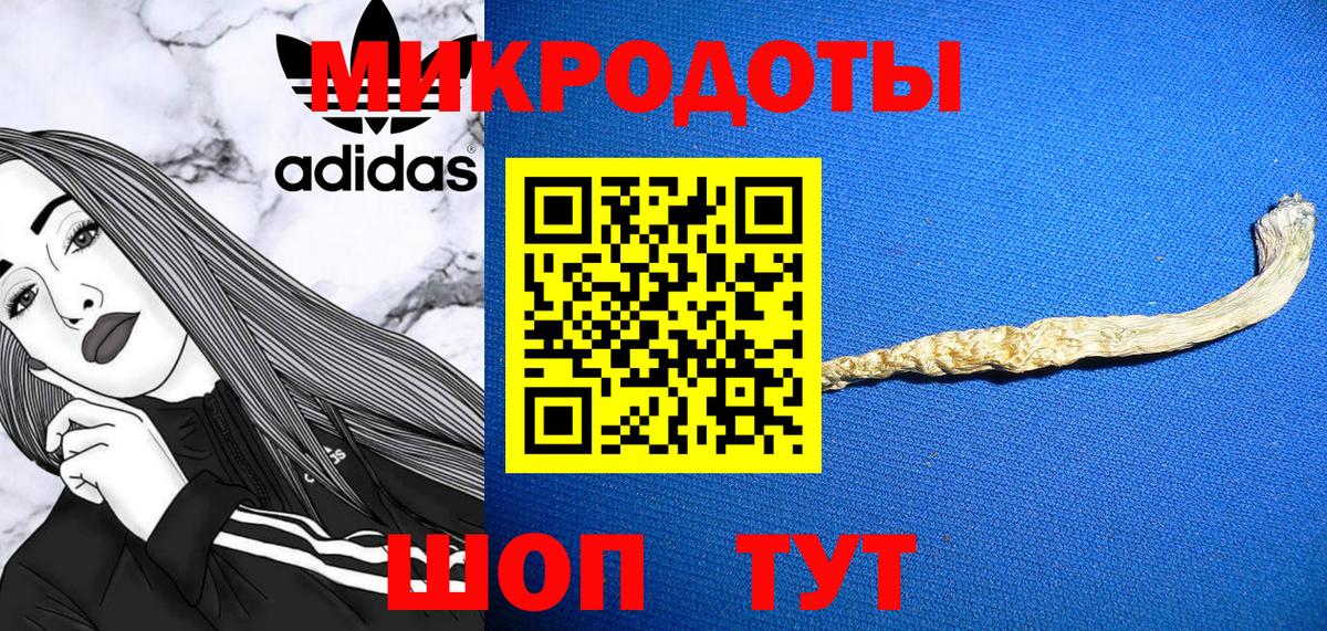 Галлюциногенные грибы MAGIC MUSHROOMS  Вход с VPN  Городец  Псилоцибиновые грибы Psilocybe 
