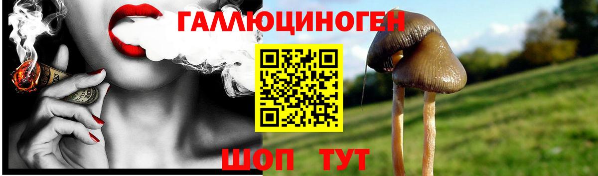 Галлюциногенные грибы мицелий Городец